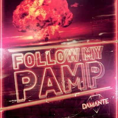 Adam ClayFollow My Pamp (Extended)