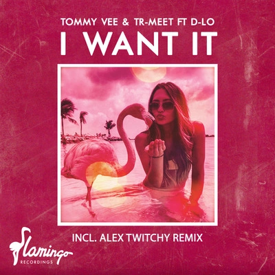 Tommy VeeI Want It (Extended Mix)