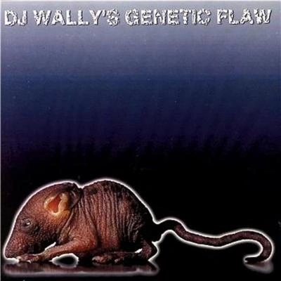 DJ WallyLast Chance To Comprehend