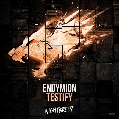 EndymionTestify (Original Mix)