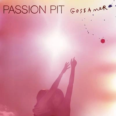 Passion PitLove Is Greed (Album Version)