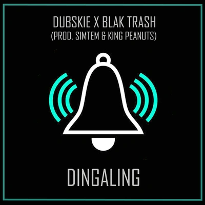 DubskieDingaling (Prod. Simtem & King Peanuts)