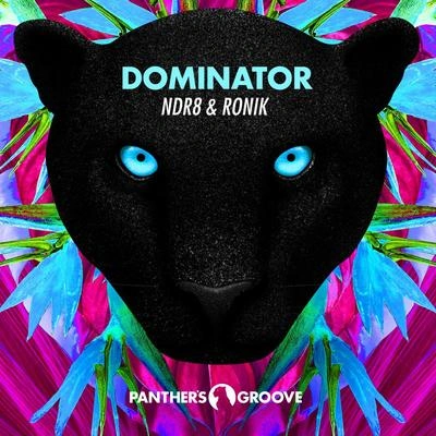 NDR8Dominator (Original Mix)