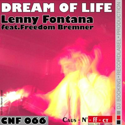 Lenny FontanaDream of Life (Wire & Paul Rockseek Remix)