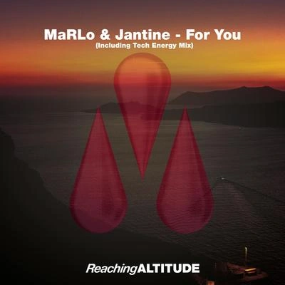 MaRLofor you (tech energy radio edit)