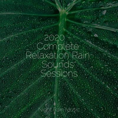 The Relaxing Sounds of Swedish NatureRainfallRain Storm Sample LibraryRain Drops