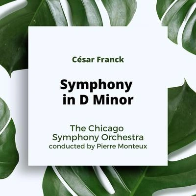 Pierre MonteuxSymphony in D Minor: II. Allegretto