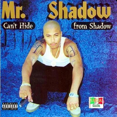 Mr. ShadowFelons Makin Millions