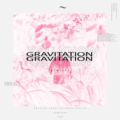 RassterGravitation (******** Remix)