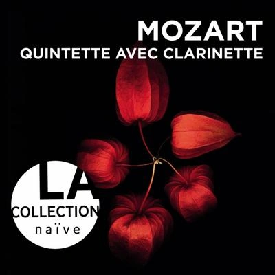 Wolfgang MeyerQuintette avec Clarinette, K. 581: I. Allegretto con Variationi