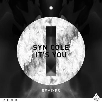 Syn ColeIt's You (Panic City Remix Extended)