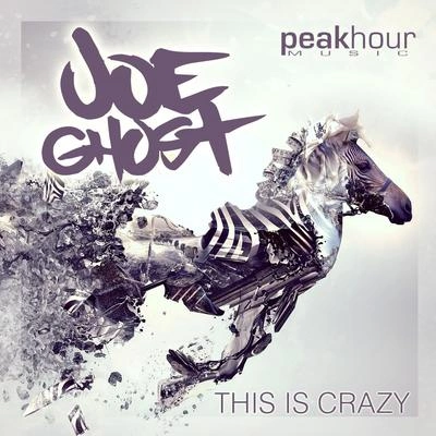 Joe GhostThis Is Crazy (Original Mix)