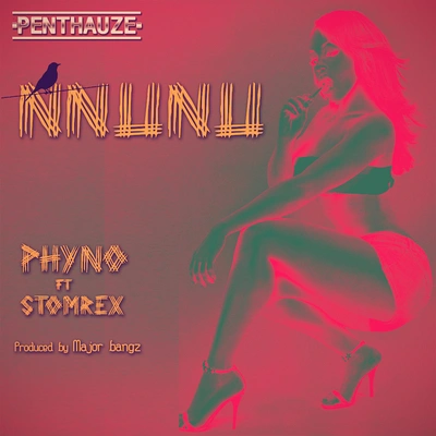 PhynoNnunu