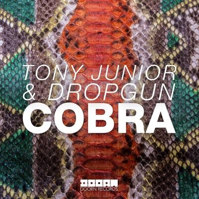 Tony JuniorCobra (Radio Edit)