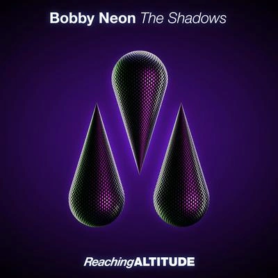 Bobby NeonThe Shadows (Extended Mix)