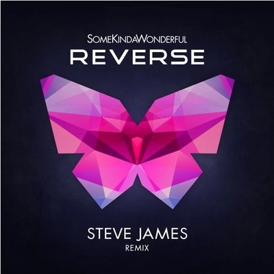 Steve Jamesreverse (Steve James remix)