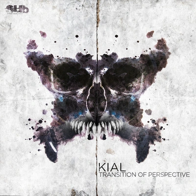 KialTransition Of Perspective