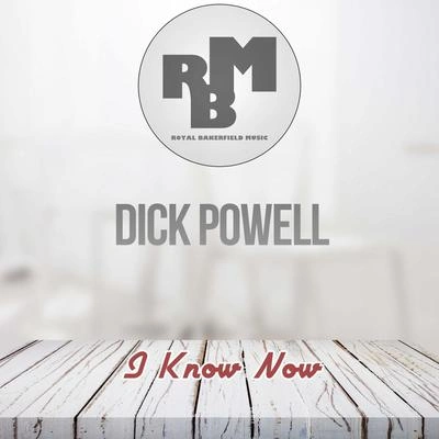 Dick Powelllulu說back in town (original mix)