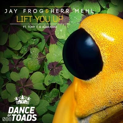 Jay FrogLift You Up (Instrumental Mix)