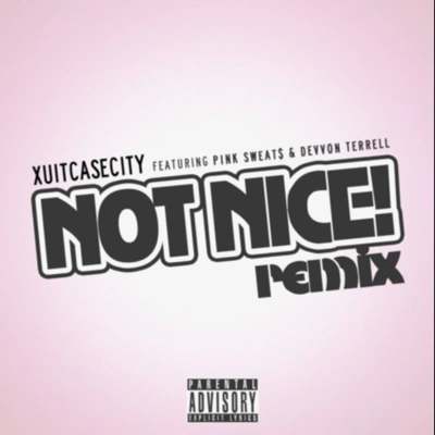 XUITCASECITYNot Nice (Remix)