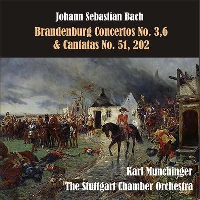 Johann Sebastian BachKarl MunchingerThe Stuttgart Chamber OrchestraBrandenburg Concerto No. 6 in B-Flat Major: II. Adagio ma non troppo