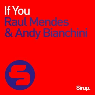 Raul Mendesif you (original mix)