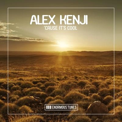 Alex Kenji'Cause It's Cool (Original Club Mix)