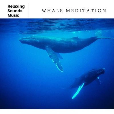 WhalesWhale Songs Relax