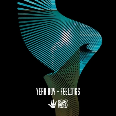 YEAH BOYFeelings (Dilligas Dub)