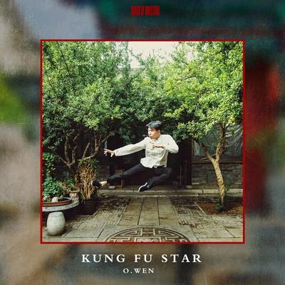 O.WENKung Fu Star