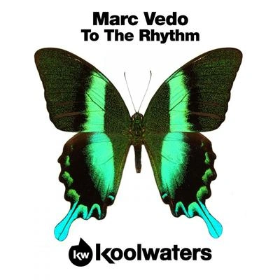 Marc VedoTo The Rhythm (Radio Edit)