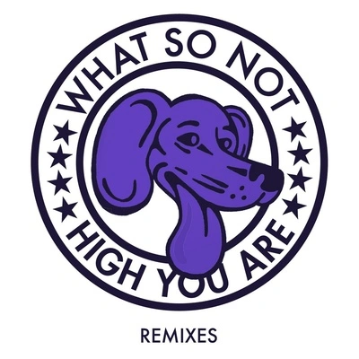 What So NotHigh You Are (SCNTST Remix)