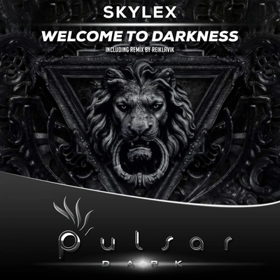 SkylexWelcome To Darkness (Original Mix)