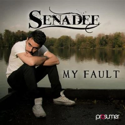 SenadeeMy Fault (Radio Mix)