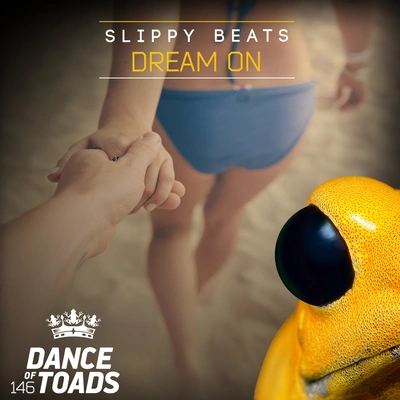 Slippy BeatsDream On (Extended Mix)