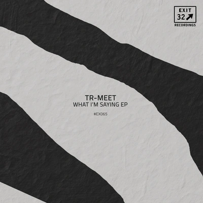 TR-MEETWhat I'm Saying (Original Mix)