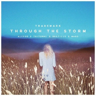 TrademarkThrough The Storm