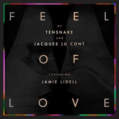 TensnakeFeel Of Love (Boys Noize & Djedjotronic Remix)