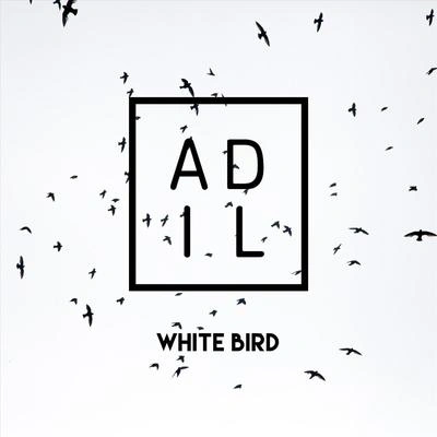 AdilWhite Bird