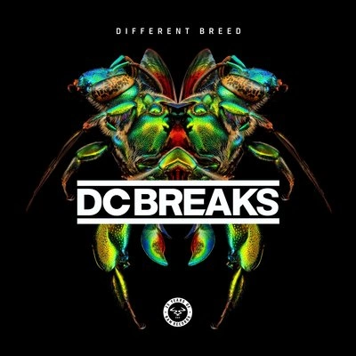 ProlixDC Breaksinfinity