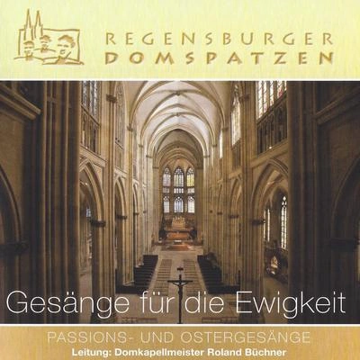 Regensburger DomspatzenO Domine Jesu Christe