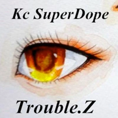 KcTrouble.Z有眼光的妞