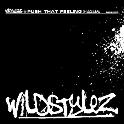 WildstylezPush That Feeling (Special Thanks to Charlotte)