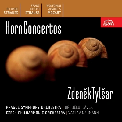 Prague Symphony OrchestraConcerto No. 2 for French Horn and Orchestra in E-Flat Major, .: I. Allegro maestoso