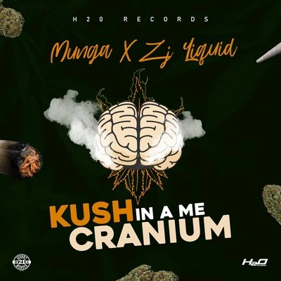 MungaZJ LiquidKush in a Me Cranium