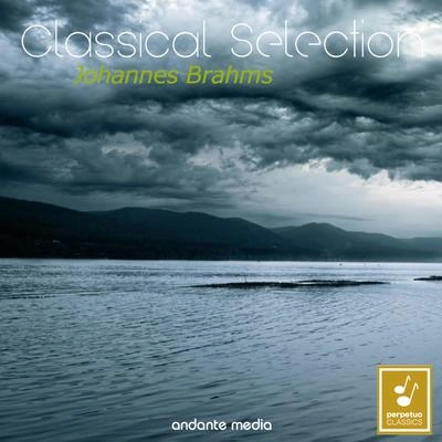 Alfred ScholzSonata No. 1 for Viola and Piano in F Minor, Op. 120: III. Allegretto grazioso