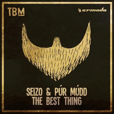 Púr MúddSeizothe best thing (extended mix)