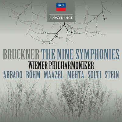 Wiener PhilharmonikerSymphony No. 8 in C Minor, WAB 108:1. Allegro moderato