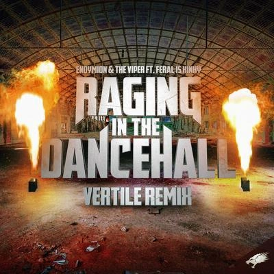 EndymionRaging in the Dancehall (Vertile Remix)