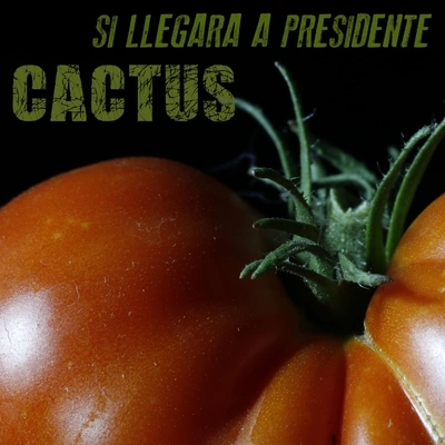 cactusSi Llegara a Presidente